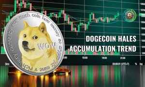 Dogecoin hales accumulation trend