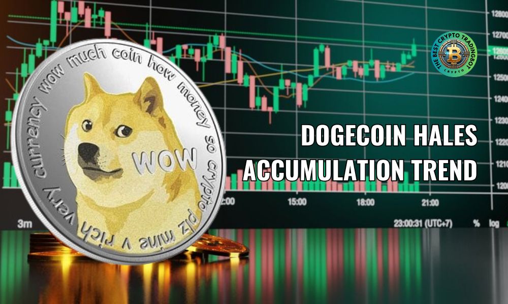 Dogecoin hales accumulation trend