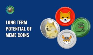 Long term potential of meme coins