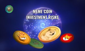 Meme coin investment risks
