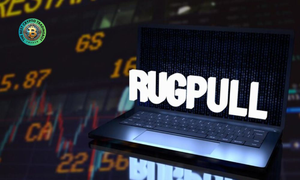 Meme coin investment risks rug pull