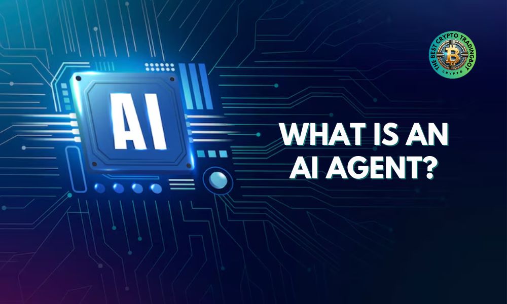 What are the 4 types of agents in ai and what is an AI agent