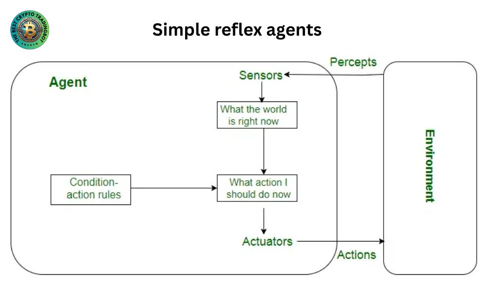 Explain the structure of AI agent: simple reflex agents