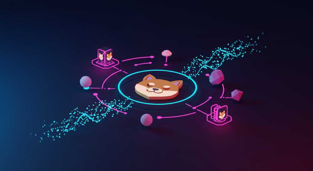 What is kishu inu and its core ecosystem What is kishu inu and its core ecosystem